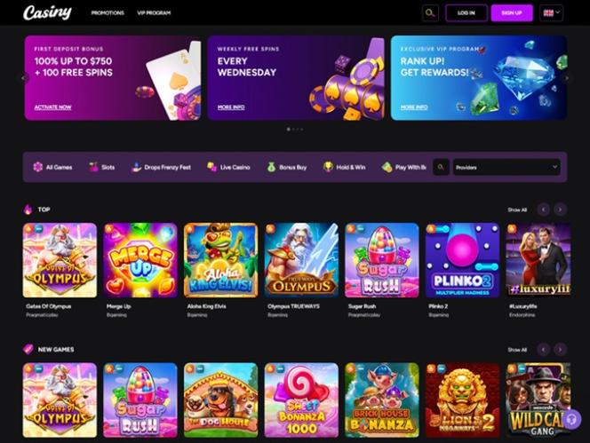 Casiny Casino Review 19 Casiny Casino Review 19